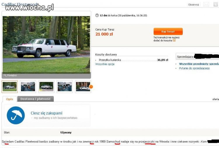 Mistrz ortografii z Allegro atakuje