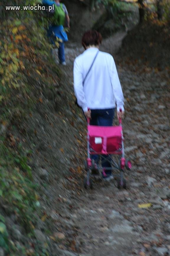 Pier**l Nordic Walking