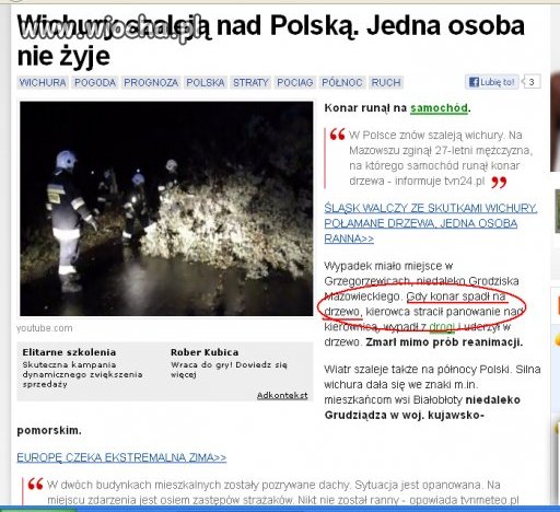 Gdy konar spadł na drzewo!