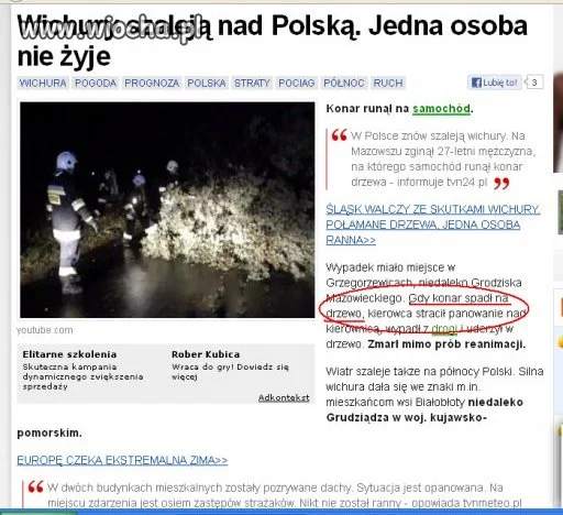 Gdy konar spadł na drzewo!