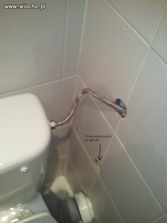 Mistrz wśród płytkarzy 