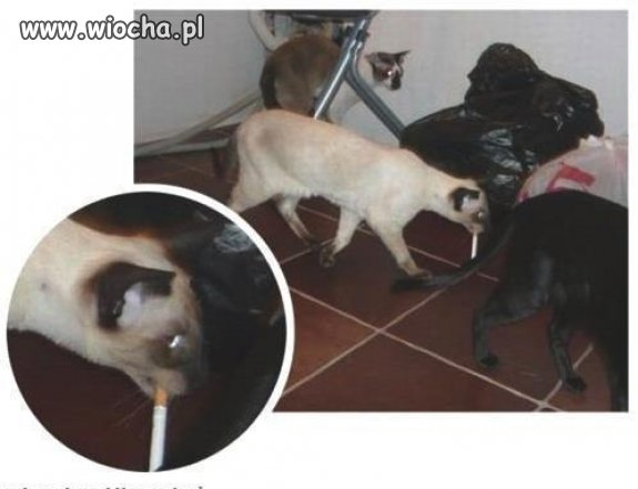 Gdy nie ma Cię w domu…