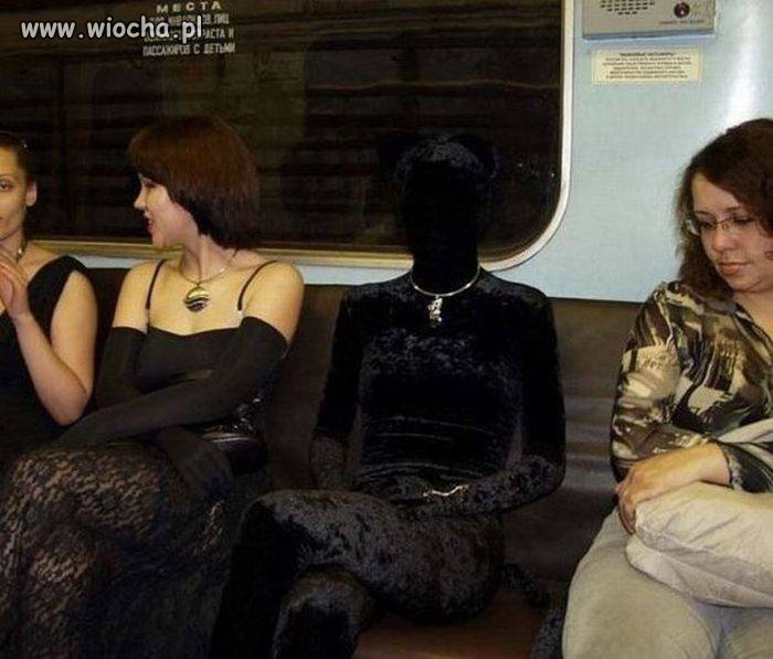 To się nazywa wtopić się w otoczenie