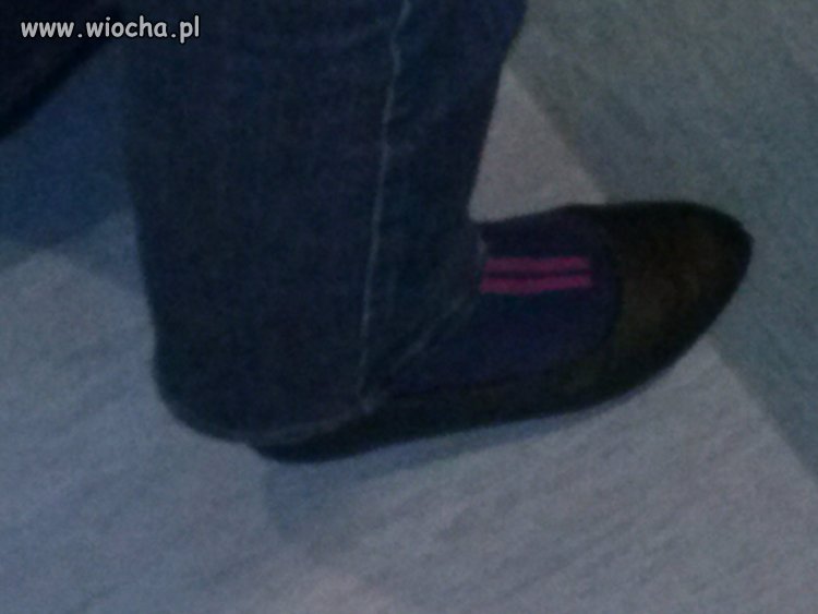 Moda Polska