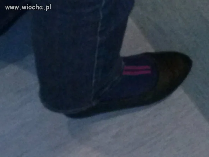 Moda Polska