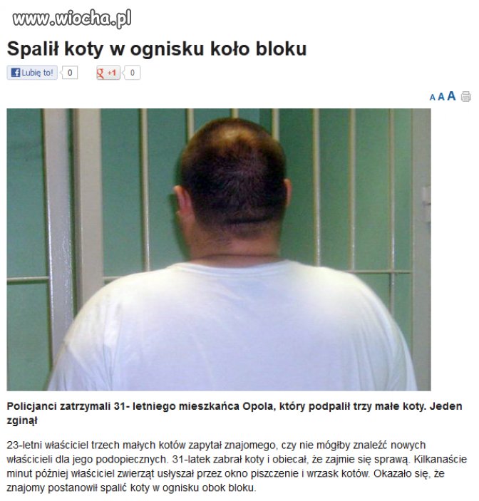 Jakim trzeba być zwyrodnialcem