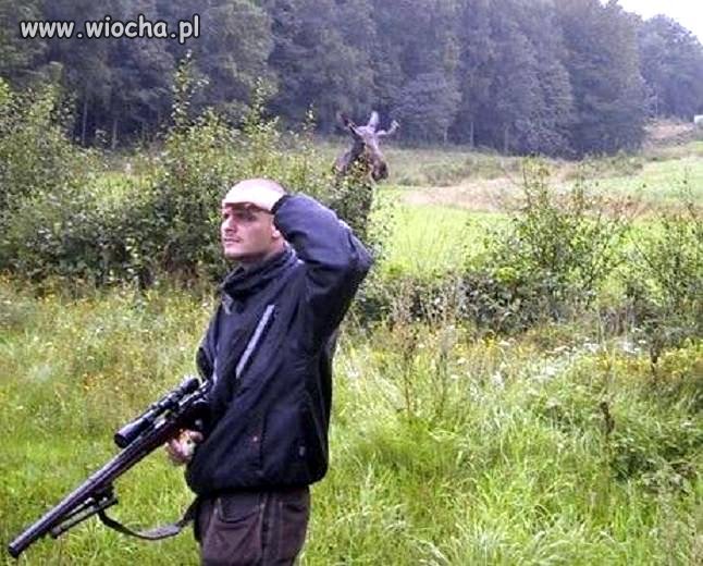 I kto tu jest łosiem ? 