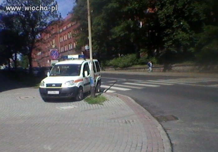 Miszcz Parkowania 