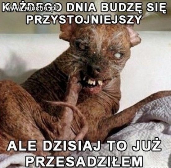 Hahahahahaha