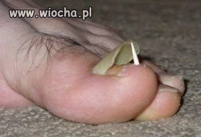 Jest czym się chwalić...