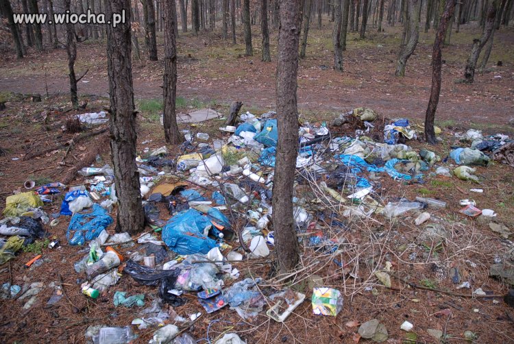 Takim śmieciarzom powinno się tak samo naśmiecić