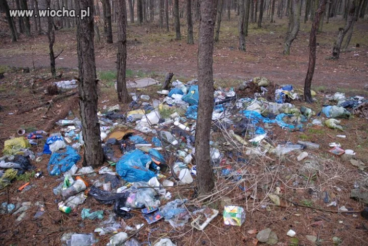 Takim śmieciarzom powinno się tak samo naśmiecić
