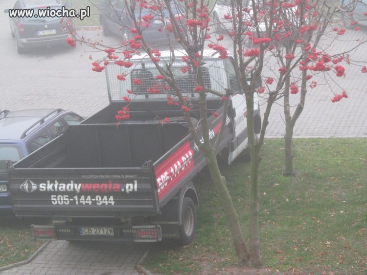 Faachowiec