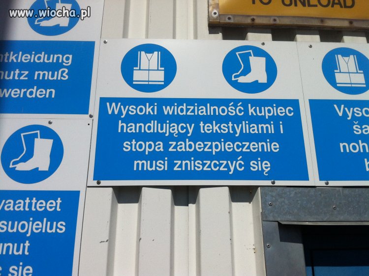 Inteligencja Anglików...
