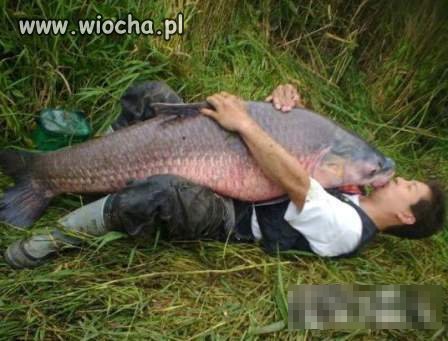 Miłość