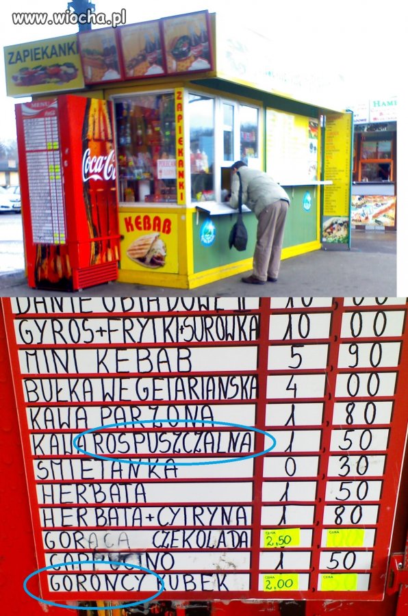 Wiocha dla Torunia