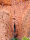 Natura też czasem bywa obsceniczna...