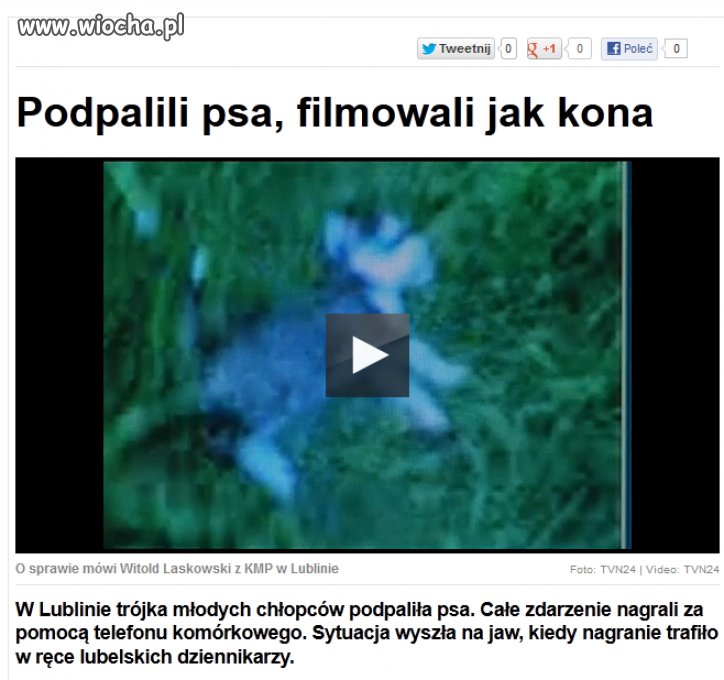 Poziom skur...wa