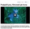 Poziom skur...wa