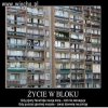 Życie w bloku