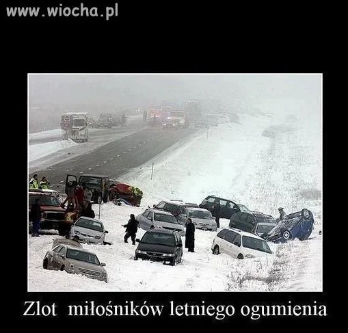 Zlot 
