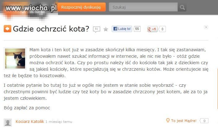 Prowokator
