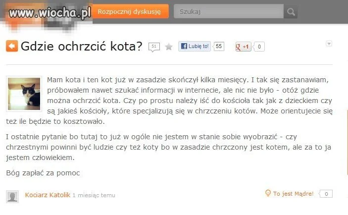 Prowokator