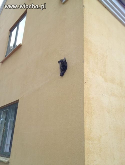 Koci balkon