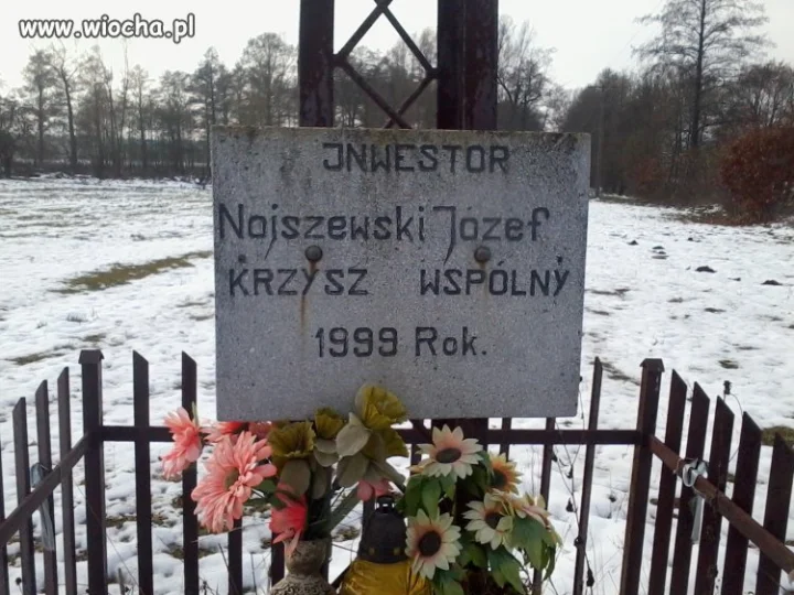 Polski jest językiem trudnym dla niektórych...