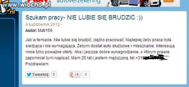 Polacy w Holandii