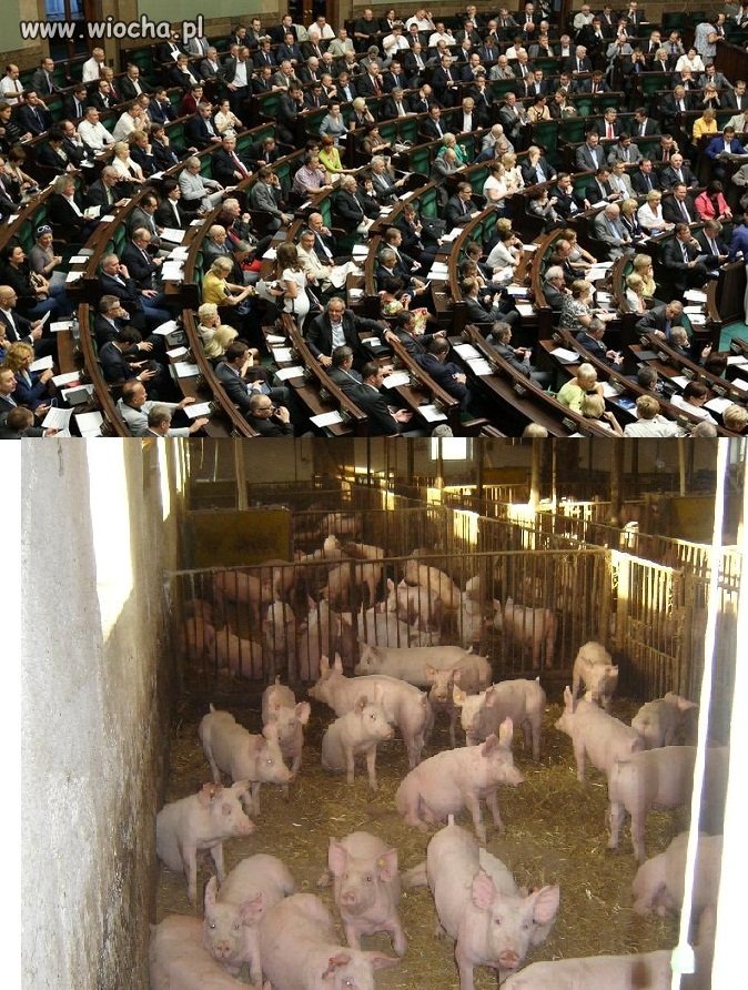Znajdź trzy różnice