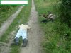 Droga Poległych 