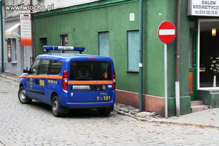 Straż Miejska Lubliniec
