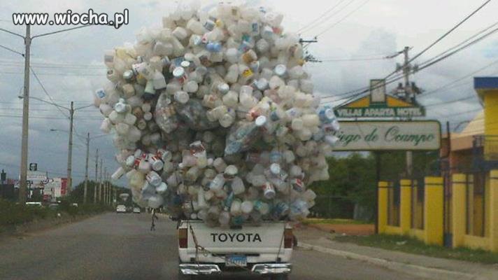 Toyota pet