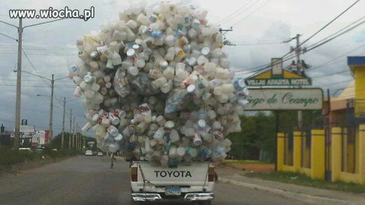 Toyota pet