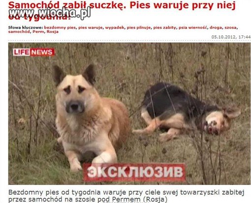 To jest prawdziwa miłość.