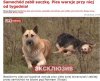 To jest prawdziwa miłość.