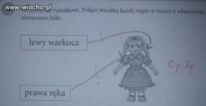 Jak dla mnie, prawidłowo zaznaczone .