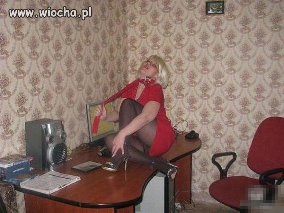 Sexi kocica ...