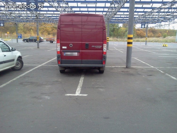 Mistrz parkowania.
