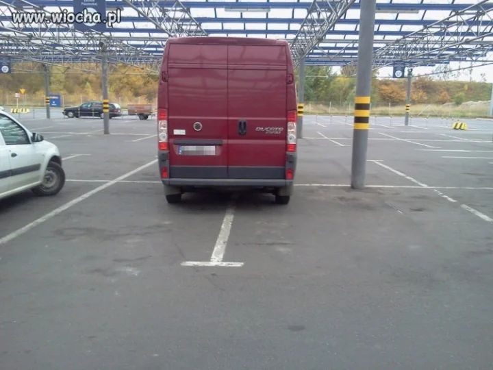 Mistrz parkowania.