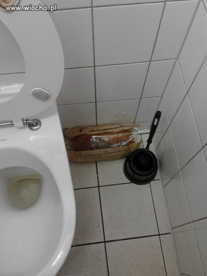 Kto mądry zostawia chleb w WC..