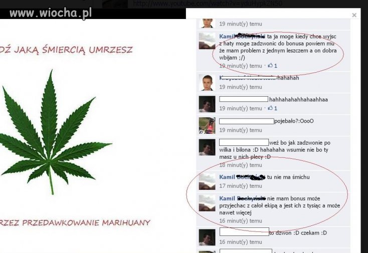 Gość ma plecy u bonusa