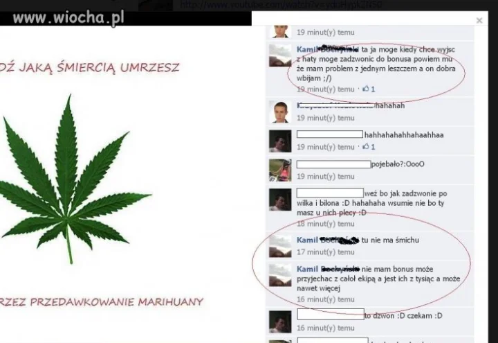 Gość ma plecy u bonusa