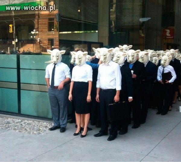 Wybory w Polsce.