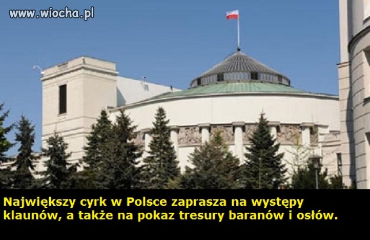 Największy cyrk w Polsce