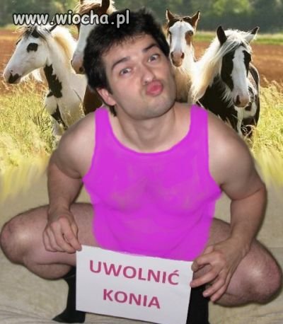 Uwolnić
