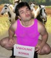 Uwolnić