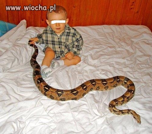 Odpowiednia zabaweczka
