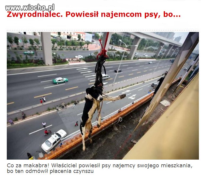 Jakim trzeba być człowiekiem..